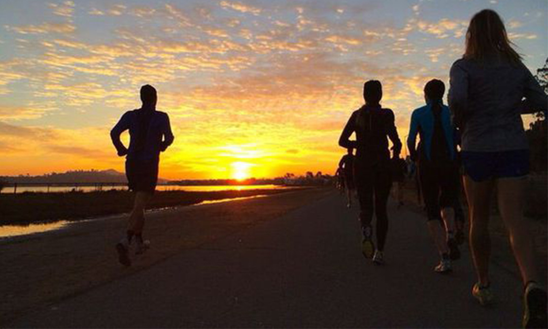 白山计步器问答案例